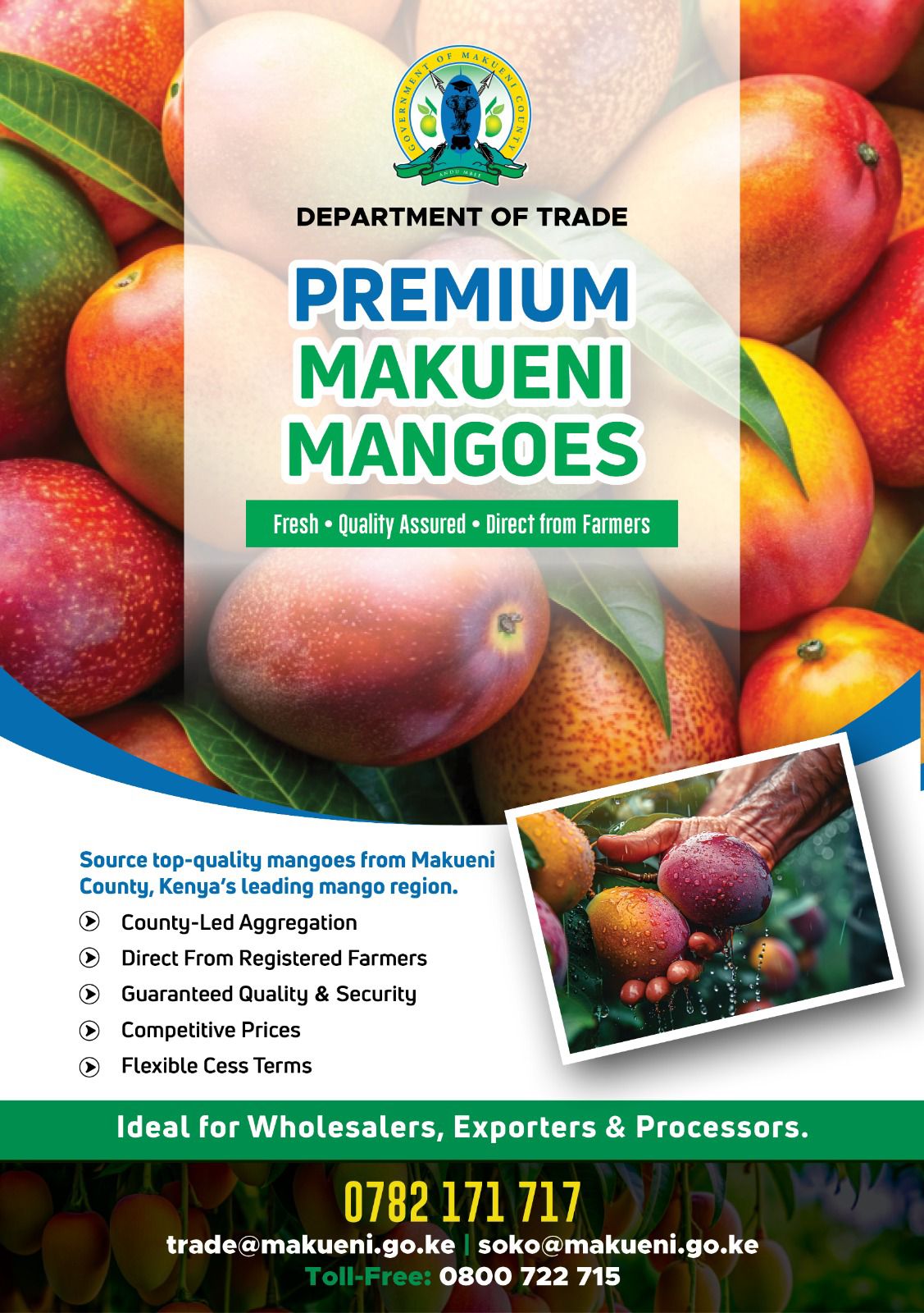 Premium Makueni Mangoes Market Linkage